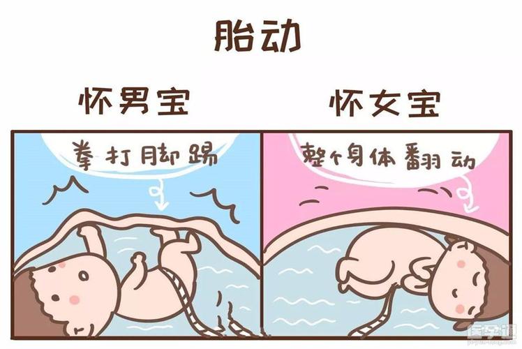 国内借卵试管代怀男孩全包-国内借卵试管代怀男孩全包服务