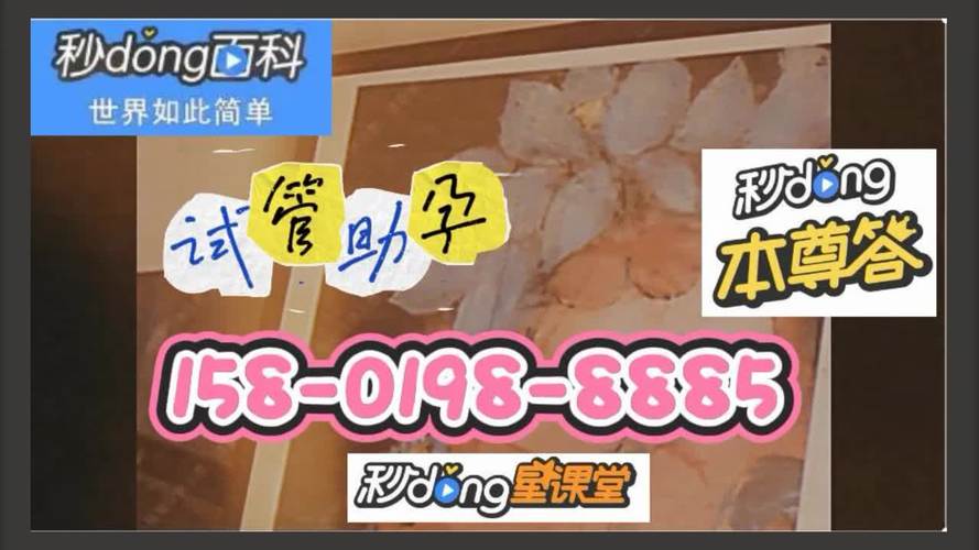 国内借卵试管代怀安全吗_国内借卵试管代怀安全吗?需要了解的安全问题大揭秘