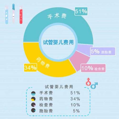 借卵试管代怀选性别包成功_成功实现借卵试管代怀选性别包成功