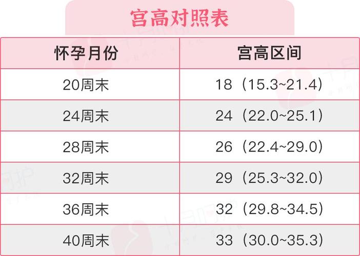 借卵试管代怀需要多少费用-借卵试管代怀：费用问题解析