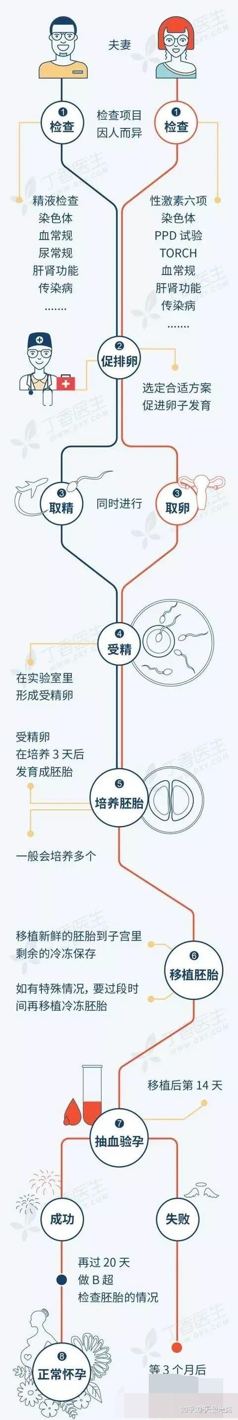 借卵合法_借卵合法：权益保障与法律风险分析